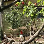 Prázdninový dům Am Park Am Roehrensee