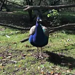 Am Park Am Roehrensee Prázdninový dům Bayreuth
