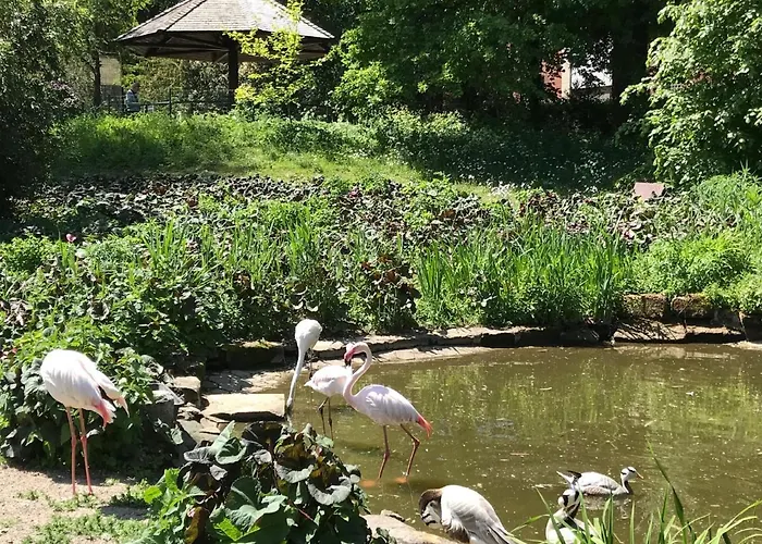 Am Park Am Roehrensee