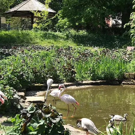 Am Park Am Roehrensee