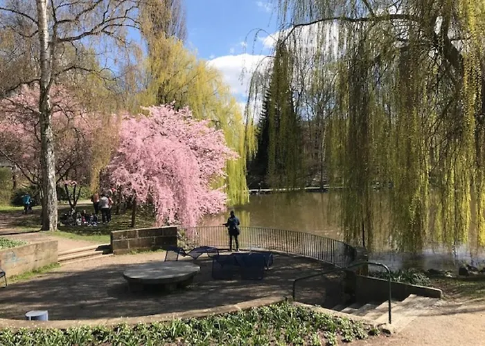 Am Park Am Roehrensee באיירוט